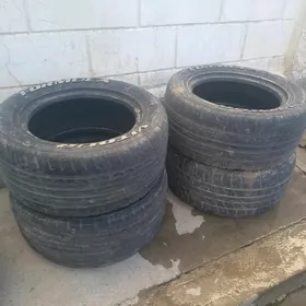 teker formula 13 lik