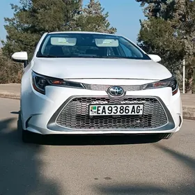 Toyota Corolla 2021