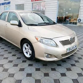 Toyota Corolla 2010