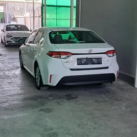 Toyota Corolla 2024