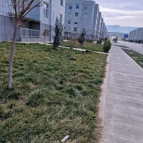 eyesinden podwal Gurtly 76 kw