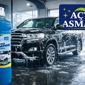 Awtoulaglar üçin ýuwujy şampun