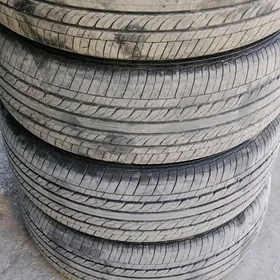 215 60 16 Nankang Ýyly23