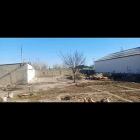 bagyr mirewe 10 sotuk