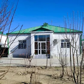 Taze Zaman Plan jay 1 tapgry