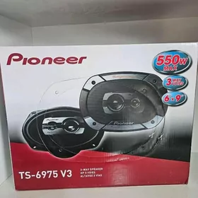 pioneer