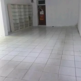 Bagyr arende magazin ýol ugry