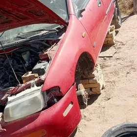 maşyn bolek zapjaslar