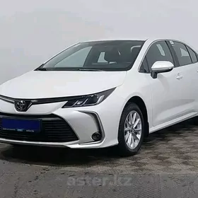 19 karolla nikel hrom bezegler