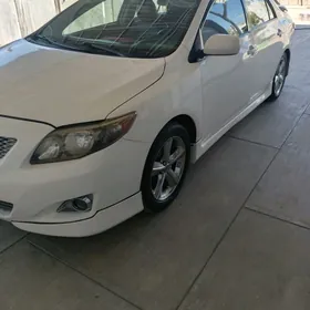 Toyota Corolla 2010