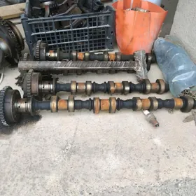 wal resperdwal wanus