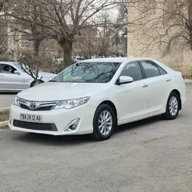 Toyota Camry 2013