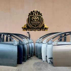 Karolla gapy morda 2009-2013