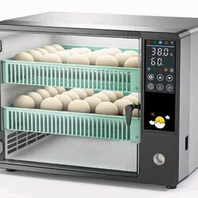 inkubator ful awtomat