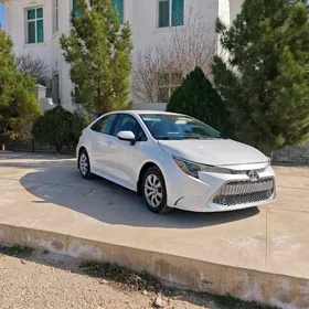 Toyota Corolla 2020