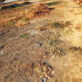 boş mellek eyesinden