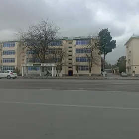 ARENDA JAY GEREK  EYESINDEN