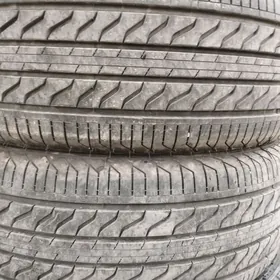 225 55 17 pakryska 25