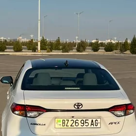 Toyota Corolla 2020