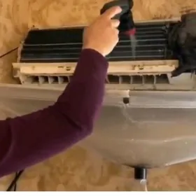 kansaner moyka himcistka yuwya