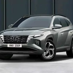 Hyundai Tucson21 nikel bezeg