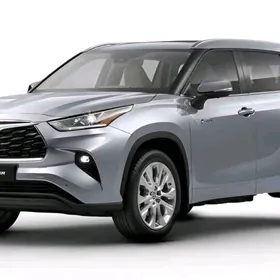 22 highlander nikel bezegleri