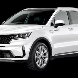 21 sorento parok, rucga nikel
