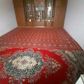 Emlak satlyk jaÿlar