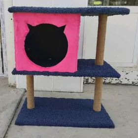 pisik un, для кошек