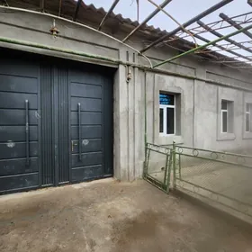 Satlyk Howly Ürgenji pos Zelil