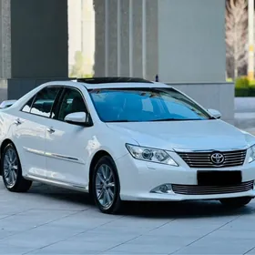 Toyota Aurion 2013