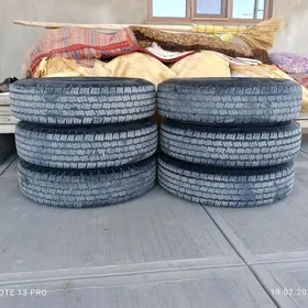 gazeliñ teker mazim