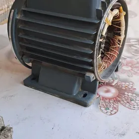 обмотка насоса 80 SHIMGE