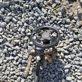 Раловой насос.Пажера