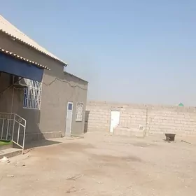 jay kamsomol tejene yakyn