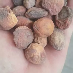 как эрик капот ве иймек учин