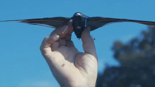 Fransiýaly inžener smartfondan dolandyrylýan 10 gramlyk robot-guş ýasady