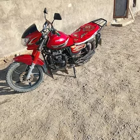 Fekon FK200-14G 2014