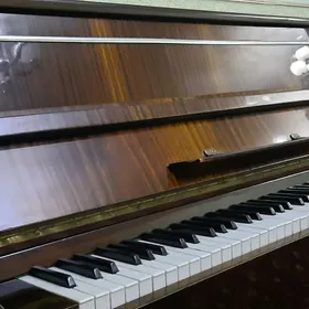 PIANINO AKKORD