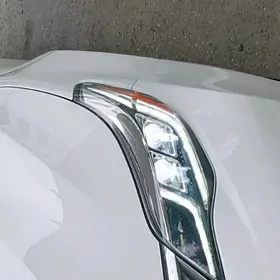 fara çyra 13-18 avalon