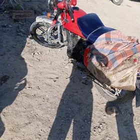 Fekon FK200-14G 2023