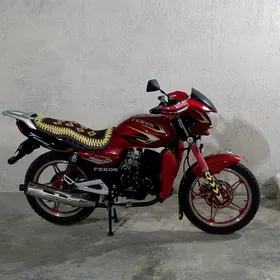 Fekon FK200-14G 2026