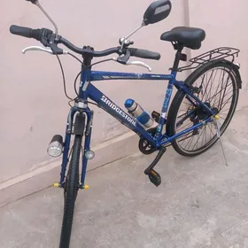 YAPONKA ARGINAL 27 LIK