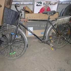 Ural welik gorinUral welik