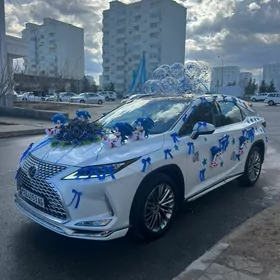 оформление -bezegler