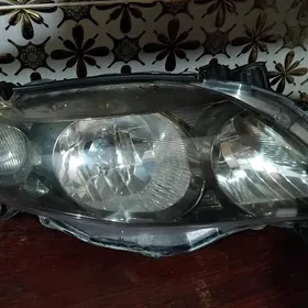 calolla 2010 s cep tarap fara