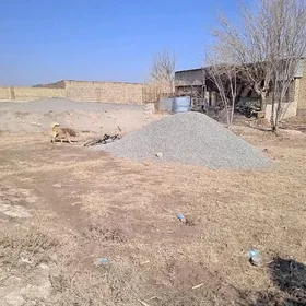 Satlyk ayraport daca