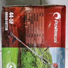 ot oryan kasilka kici