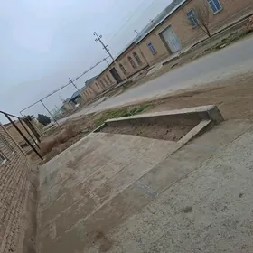 žyl pasoluk 8 sok melek