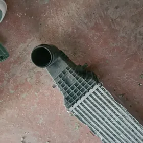 stinger genesis interkuler